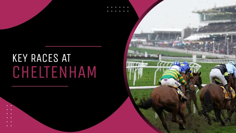 Key Races at Cheltenham